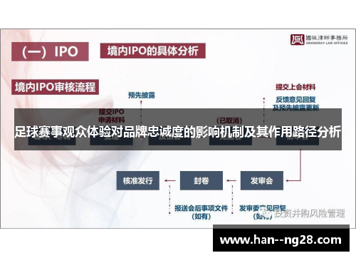 足球赛事观众体验对品牌忠诚度的影响机制及其作用路径分析