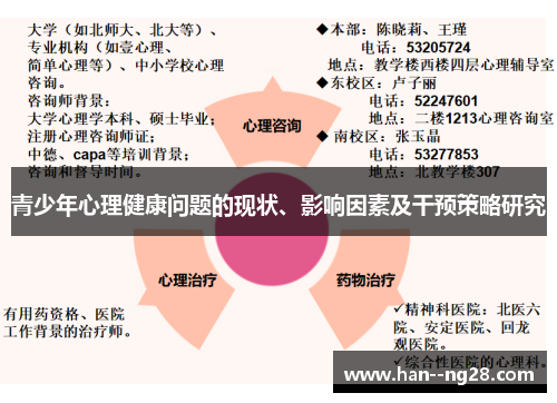 青少年心理健康问题的现状、影响因素及干预策略研究